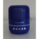 Everton RT-321  Bluetooth-USB-Micro Sd Ses Bombası