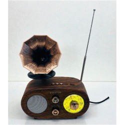 Everton Rt-746  Bluetooth Fm-Usb-Tf-Aux  Şarjlı Nostaljik Radyo