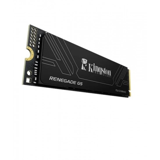 Kingston 1TB Renegade SRNG2S-1T0 G5 14200-11000MB-s PCIe 5.0 NVMe SSD Disk
