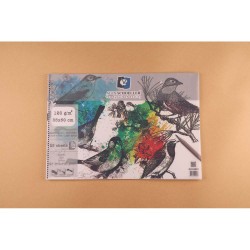 ALEX ALX-823 RESİM DEFTERİ 35X50 SPİRALLİ PP KPK 120GR