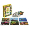 DIYTOY 1352 FLASH CARDS İLK 50 HAYVAN