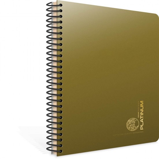 GIPTA 5693 PLATINUM SPR PP KPK DEF 17X24 100YP KARELİ