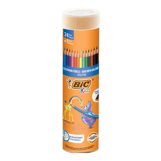 BİC EVOLUTİON KURUBOYA KALEMİ 24LÜ TÜP 958190