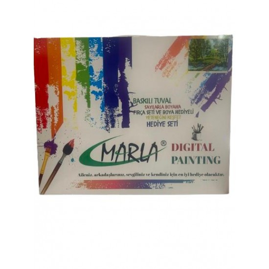 MARLA 2025-001 40X50 SAYILARLA RESİMLİ BASKILI TUVAL