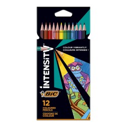 BİC INTENSITY KURUBOYA KALEMİ 12 RENK 9505271