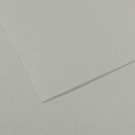 CANSON C31033S117 FON KARTONU 50X65 354 GREY
