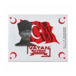 VATAN VT210 ATATÜRKLÜ BAYRAK 70X105