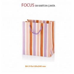 GIPTA BG2848 B4 FOCUS KARTON ÇANTA