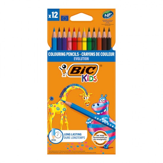 BİC EVOLUTİON KURUBOYA 12Lİ 82902914