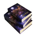 DÖNMEZ 216 52 10 KİTAP DEKORATİF KUTU 14X21,5 HARRY POTTER