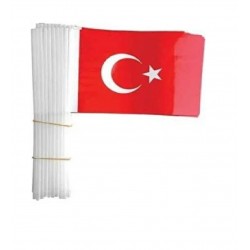 VATAN VT803 BATTAL PLS.ÇITALI TÜRK BAYRAĞI 20X30 40LI PK