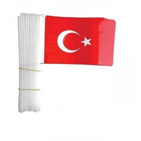 VATAN VT803 BATTAL PLS.ÇITALI TÜRK BAYRAĞI 20X30 40LI PK