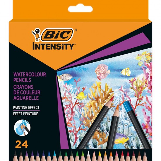 BİC INTENSTY KURU SULU BOYA 24LÜ 511727