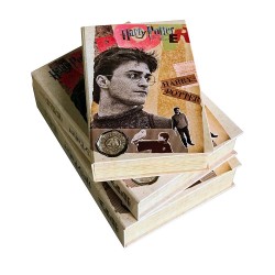 DÖNMEZ 216 52 10 KİTAP DEKORATİF KUTU 14X21,5 HARRY POTTER
