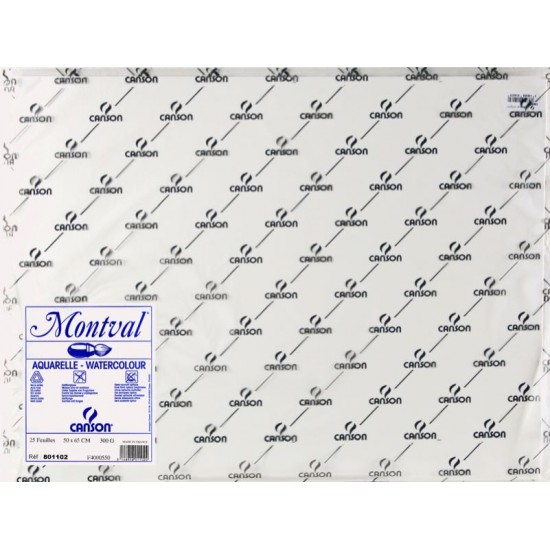 CANSON C400086076 CANMONTV SULUBOYA KAĞIDI 50X70 300GR