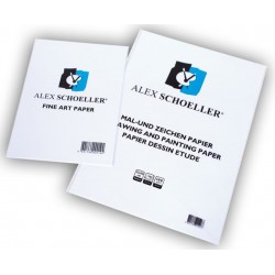 ALEX ALX-5068 RESİM KAĞIDI 120GR 35X50 10LU PK