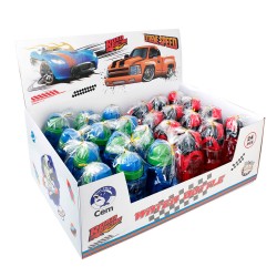DOLPHİN PLB4316 MATARA PLASTİK 500ML