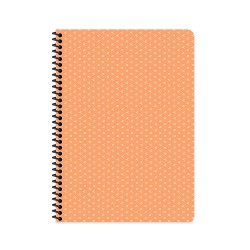 KESKİN 410572 17X24 100YP KARELİ SPR SRT KPK SAGUARO DEF