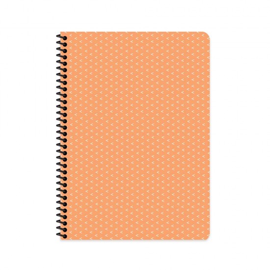 KESKİN 410572 17X24 100YP KARELİ SPR SRT KPK SAGUARO DEF