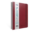 GIPTA 6467 NEXT SPR 4 SEPERATÖRLÜ 17X24 150YP KARELİ