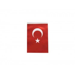 İNTER B-002 TÜRK BAYRAĞI 30X45