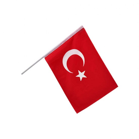 VATAN VT237 SOPALI RAŞEL BEZ BAYRAK 20X30 10LU PK