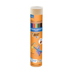 BİC EVOLUTİON KURUBOYA KALEMİ 12Lİ TÜP 958191