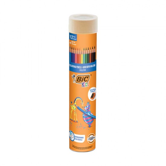 BİC EVOLUTİON KURUBOYA KALEMİ 12Lİ TÜP 958191
