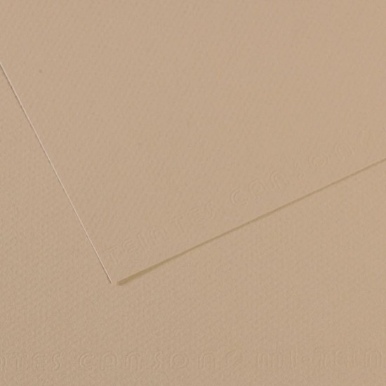 CANSON C31032S099 FON KARTONU 50X65 343 GRİ