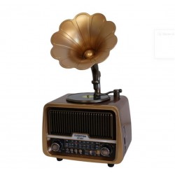 Everton Rt-601 Gramafonlu Bluetooth Fm-Usb-Tf-Aux  Şarjlı Nostaljik Radyo