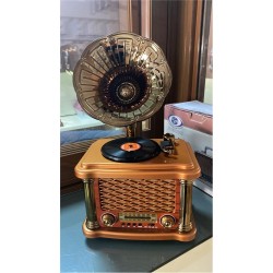 Everton Rt-586  Bluetooth Fm-Usb-Tf-Aux  Şarjlı Nostaljik Radyo
