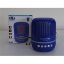Everton RT-321  Bluetooth-USB-Micro Sd Ses Bombası