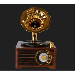 Everton RT-603  Bluetooth-USB-SD-AUX-TF Nostaljik Radyo