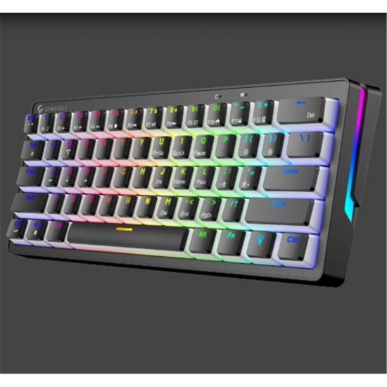Gameagle GE2014 Poseıdon RGB Kablolu Us Layout Mekanik Siyah Oyuncu Klavyesi