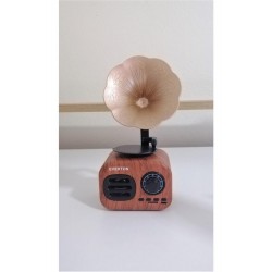 Everton Rt-705Bt Bluetooth -TfCard  Nostalji FM Radyo