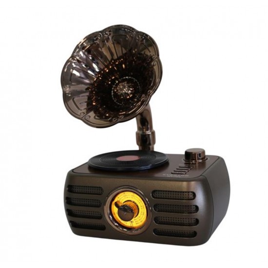 Everton Rt-704 Gramafonlu Bluetooth Fm-Usb-Tf-Aux  Şarjlı Nostaljik Radyo