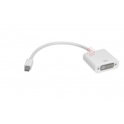 Frisby FA-6666C Mini Display Port - DVI-D Dönüştürücü (1080P)