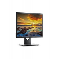 Dell P1917S 19