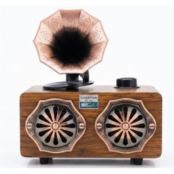 Everton Rt-744  Bluetooth Fm-Usb-Tf-Aux  Şarjlı Nostaljik Radyo