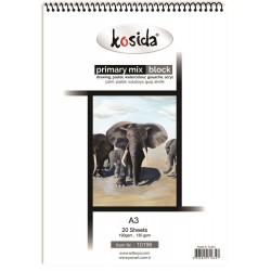 KOSİDA PRİMARY PAİNTİNG MİX A3 20YP