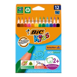 BİC EVOLUTİON ÜÇGEN JUMBO KURUBOYA 12Lİ 8297356