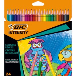 BİC INTENSITY KURUBOYA KALEMİ 24 RENK 9641481