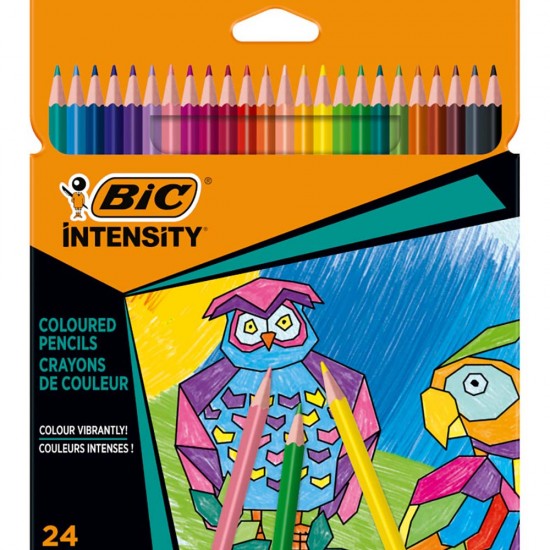 BİC INTENSITY KURUBOYA KALEMİ 24 RENK 9641481