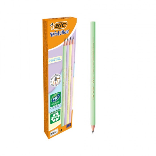 BİC EVOLUTİON PASTEL KURŞUN KALEM 12Lİ KT 518307