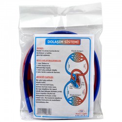 BİLGİ DOLAŞIM SİSTEMİ