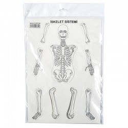 BİLGİ İSKELET SİSTEMİ