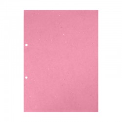 DİLMAN 3101 ARA KARTONU A4 100YP