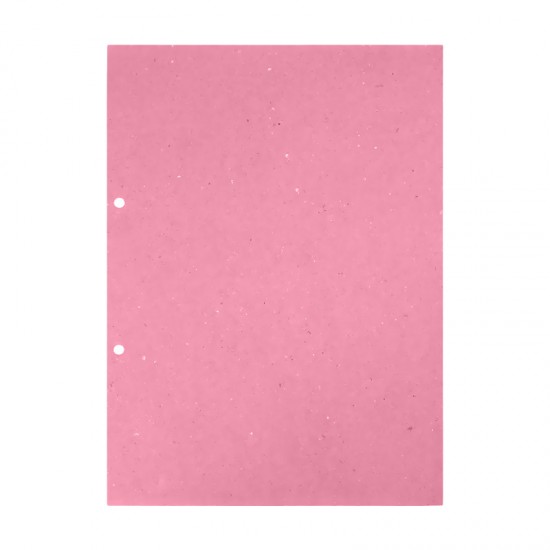 DİLMAN 3101 ARA KARTONU A4 100YP