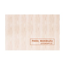 DİLMAN 4013 PARA MAKBUZU 2X50 2 NÜSHA OTOKOPİLİ