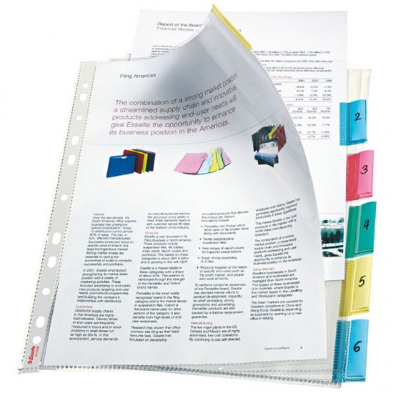 ESSELTE 414160 AYRAÇLI POŞET 6 RENK